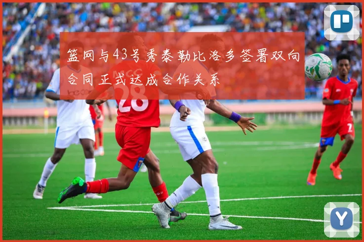 篮网与43号秀泰勒比洛多签署双向合同正式达成合作关系