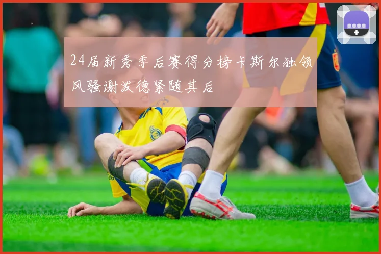 24届新秀季后赛得分榜卡斯尔独领风骚谢泼德紧随其后